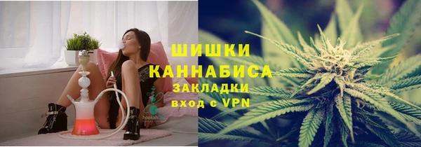 индика Богданович